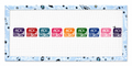 Nantucket Beach Permit Belt