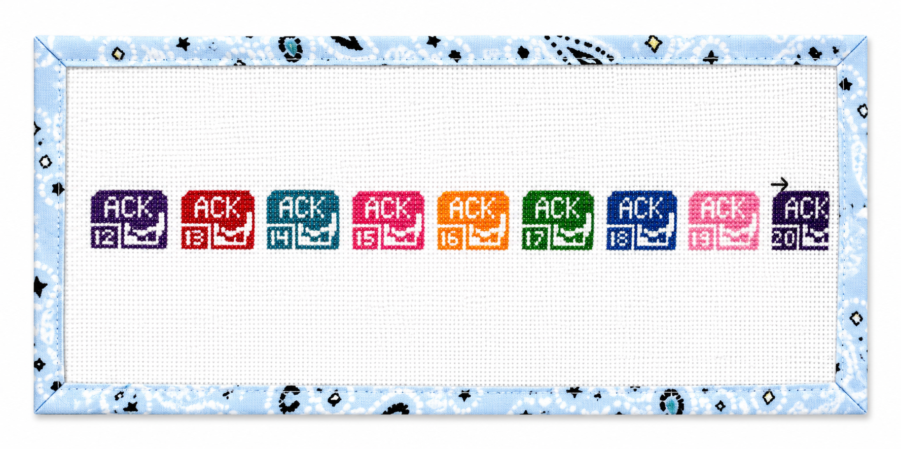 Nantucket Beach Permit Belt