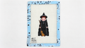 Shop Witch by The Painted Pony, an 18 mesh needlepoint canvas for Halloween stitching. Unstitched; threads not included.